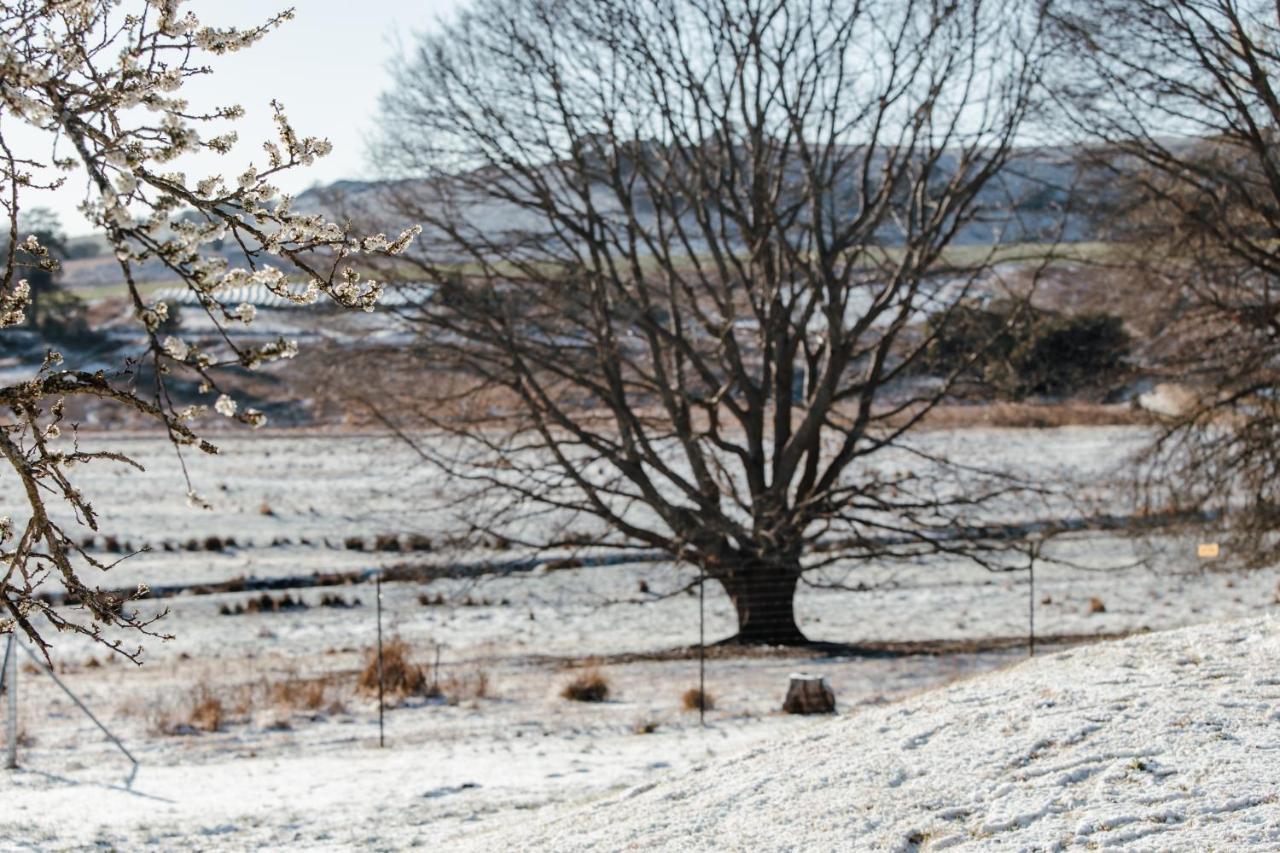 Meshlynn Farm Cottage Thendele Luaran gambar